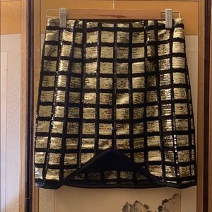 Black & Silver Skirt